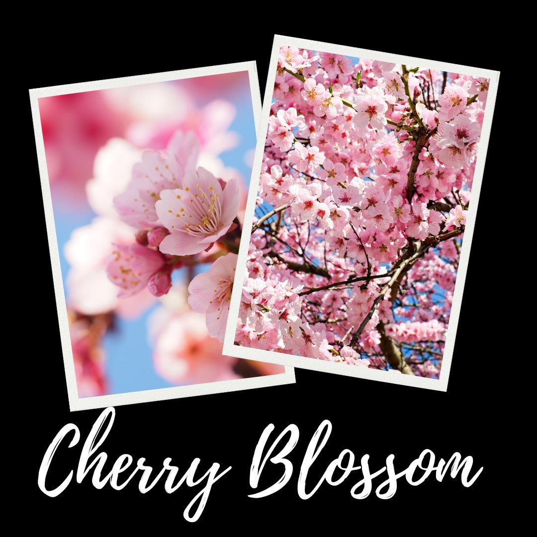 12oz Cherry Blossom Scented Mason Jar Soy Candle