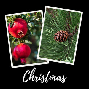 12oz Christmas Scented Mason Jar Soy Candle