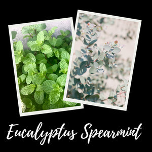 12oz Eucalyptus Spearmint Scented Mason Jar Soy Candle