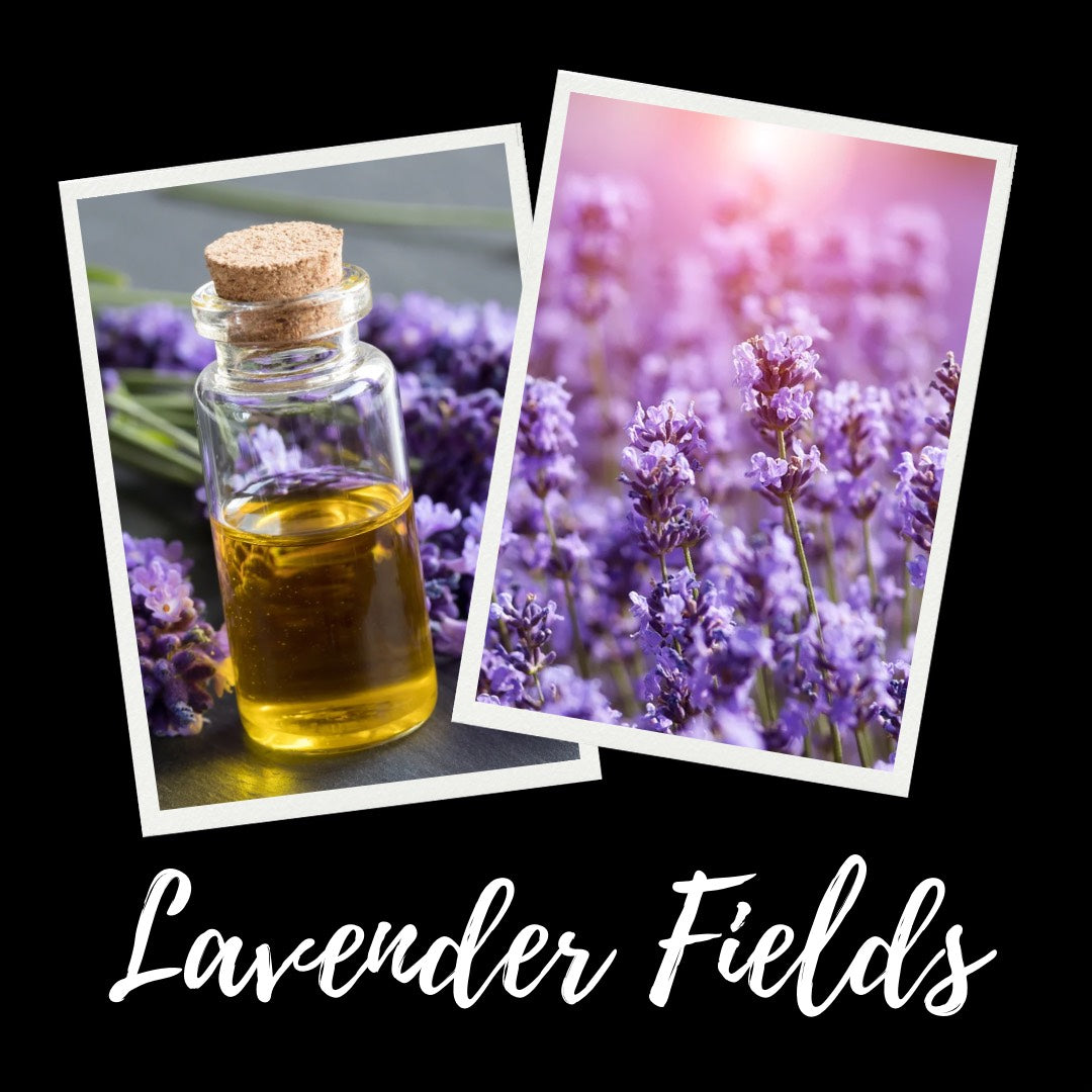 12oz Lavender Fields Scented Mason Jar Soy Candle
