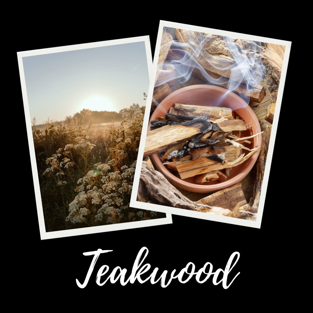 12oz Teakwood Scented Mason Jar Soy Candle